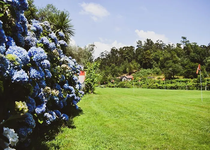 Dream Corner By Waterfalls, 20 Min To Oporto, By Porto With Lda 乡村民宿 Parada